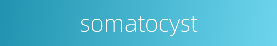 somatocyst的同义词