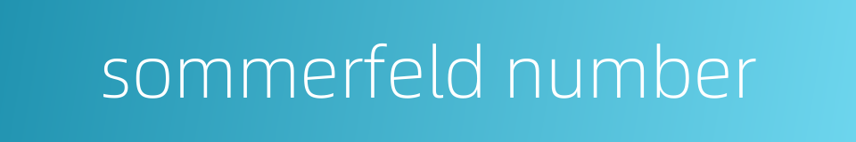 sommerfeld number的同义词