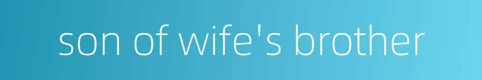 son of wife's brother的同义词