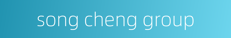 song cheng group的同义词