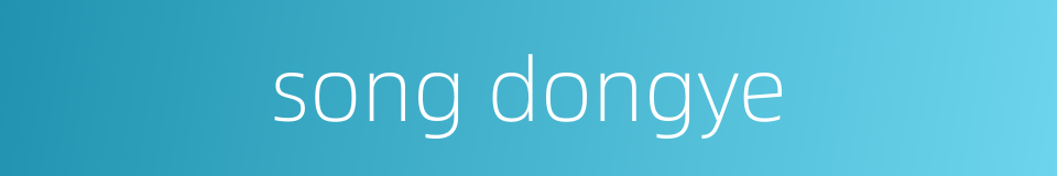 song dongye的同义词
