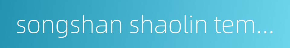 songshan shaolin temple的同义词
