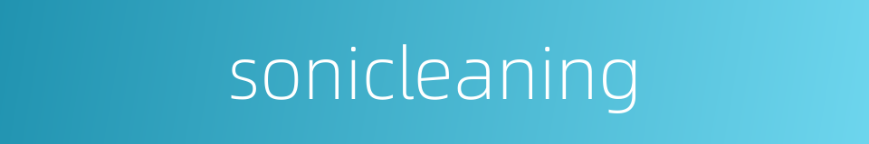 sonicleaning的同义词