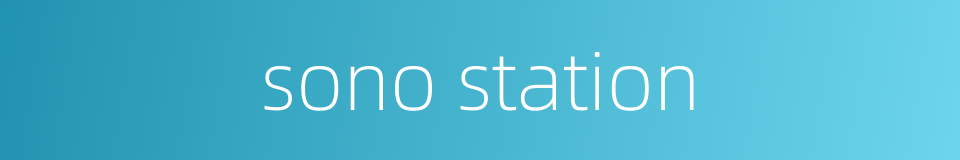 sono station的同义词