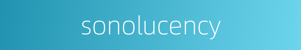 sonolucency的同义词