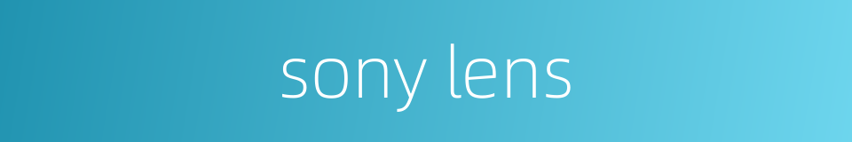sony lens的同义词