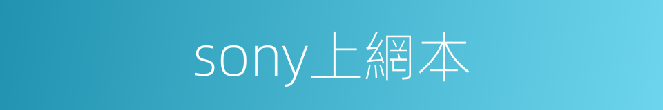 sony上網本的同義詞