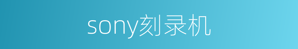 sony刻录机的同义词