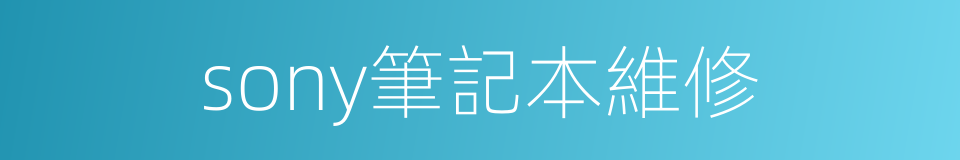 sony筆記本維修的同義詞