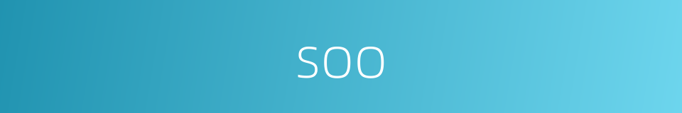 soo的同义词