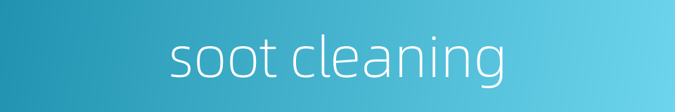 soot cleaning的同义词