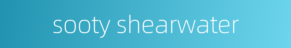 sooty shearwater的同义词
