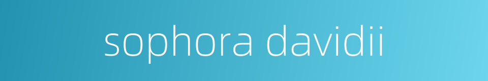 sophora davidii的同义词