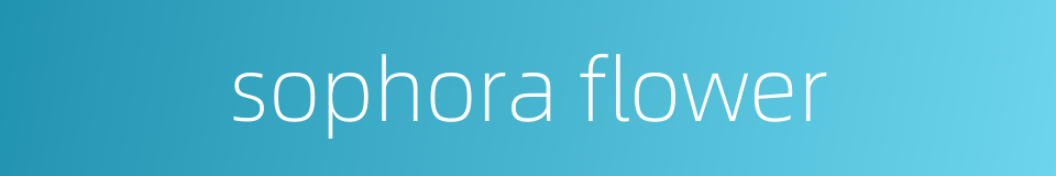 sophora flower的同义词