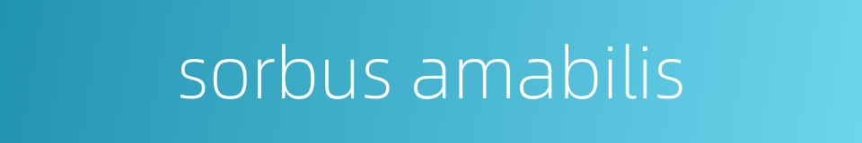sorbus amabilis的同义词