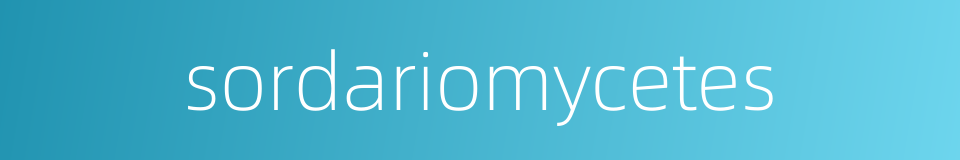 sordariomycetes的同义词