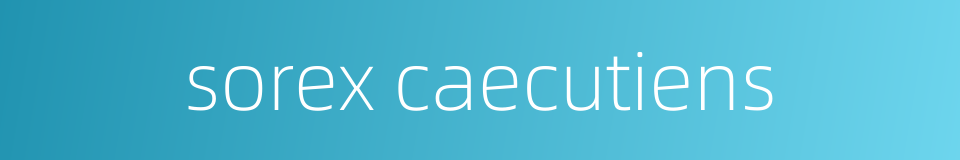 sorex caecutiens的同义词