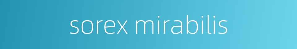sorex mirabilis的同义词