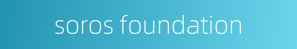 soros foundation的同义词