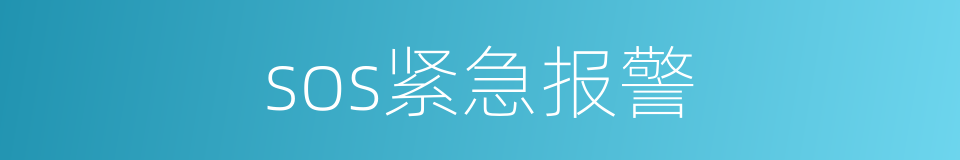 sos紧急报警的同义词