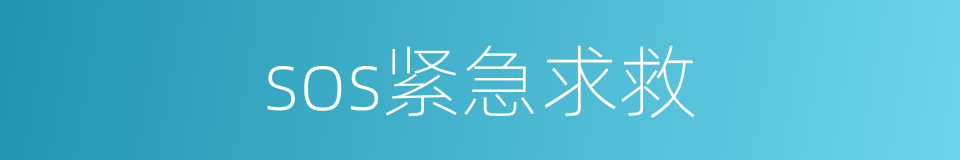 sos紧急求救的同义词