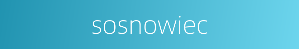 sosnowiec的同义词