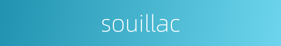 souillac的同义词