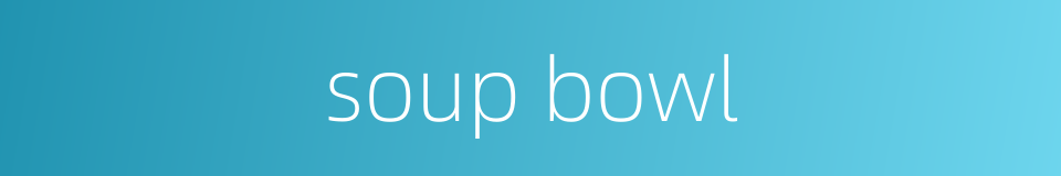soup bowl的同义词