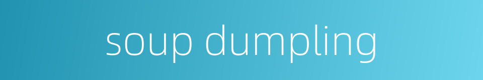 soup dumpling的同义词