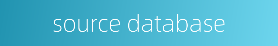 source database的同义词