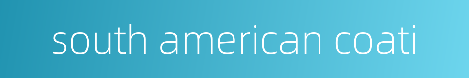 south american coati的同义词