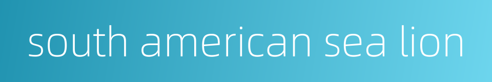south american sea lion的同义词