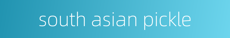 south asian pickle的同义词