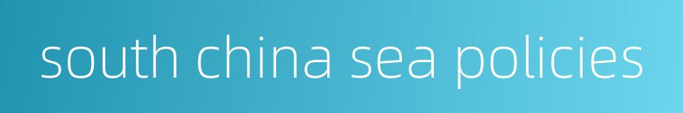south china sea policies的同义词