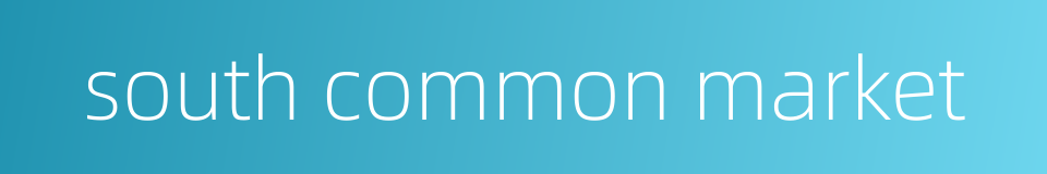 south common market的同义词