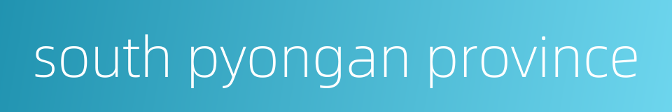 south pyongan province的同义词
