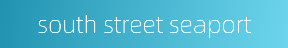south street seaport的同义词