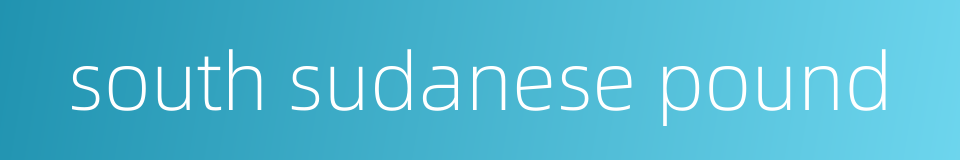 south sudanese pound的同义词