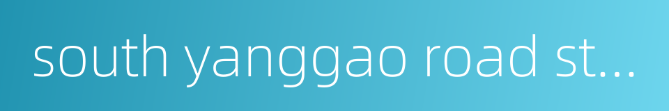 south yanggao road station的同义词