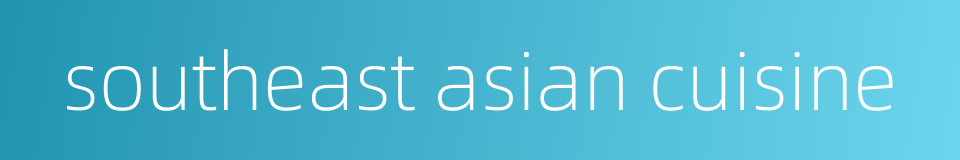 southeast asian cuisine的同义词