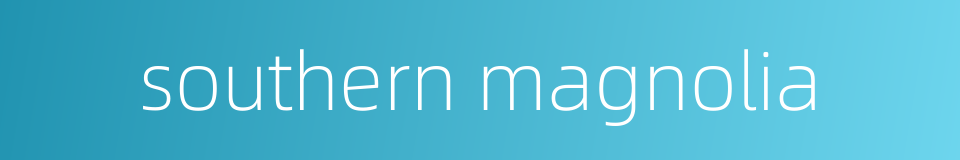 southern magnolia的同义词