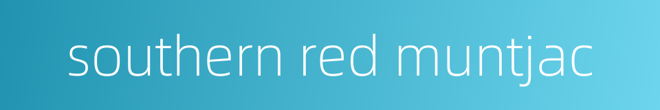 southern red muntjac的同义词