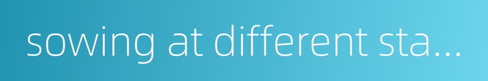 sowing at different stages的同义词
