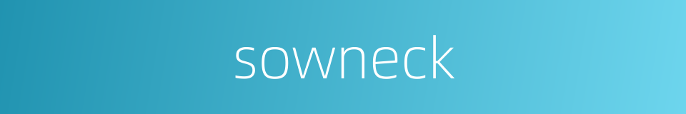 sowneck的同义词