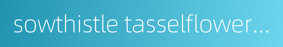 sowthistle tasselflower herb的同义词