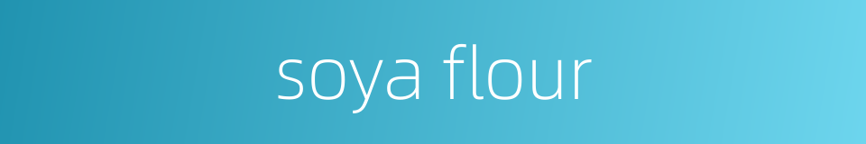 soya flour的同义词