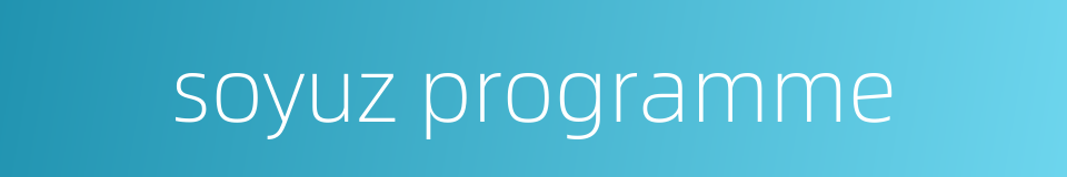 soyuz programme的同义词