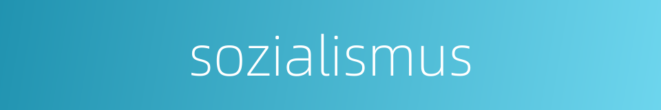sozialismus的同义词