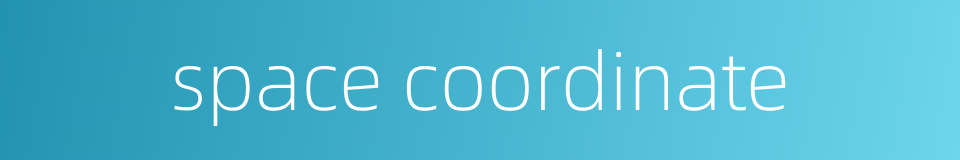 space coordinate的同义词