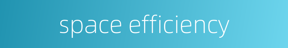 space efficiency的同义词